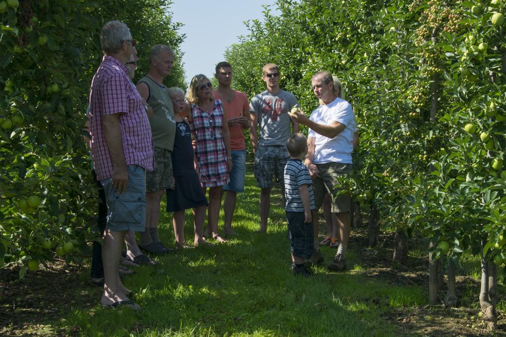 Valkenburg aan de Geul Vakantie Oord Zonnehoeve מראה חיצוני תמונה